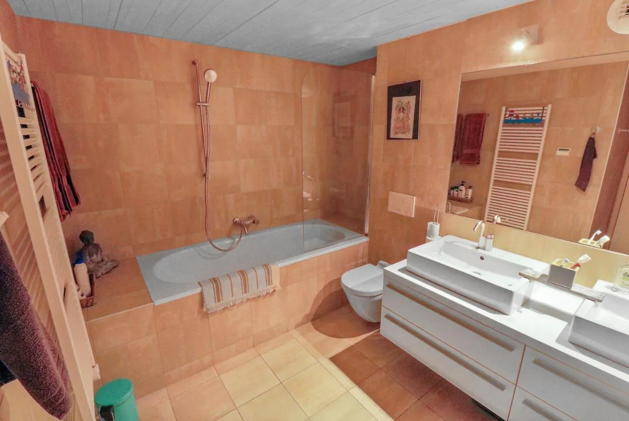 Magnifique Loft De 180M2 Avec Jacuzzi Et Fitness Apartment Geneva